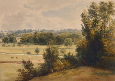 Ağaçların ve alanların peyzajı by Edward Pretty