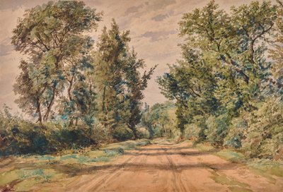 Yol ile manzara by Edward Pretty