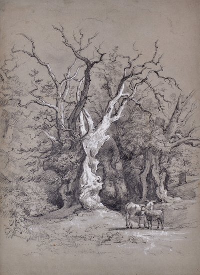 Ağaç ile manzara by Edward Pretty