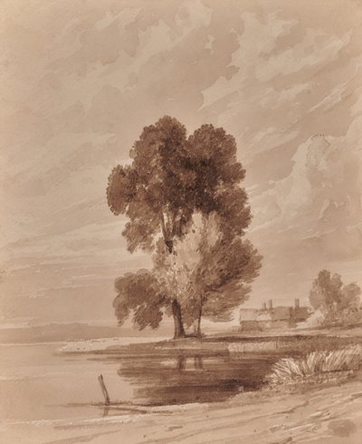 Ağaçlar ile manzara by Edward Pretty