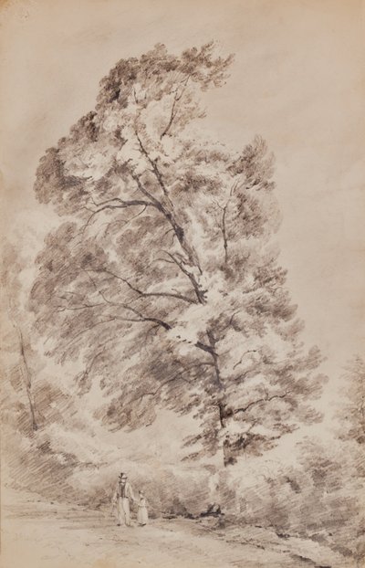 Ağaçlar ile manzara by Edward Pretty