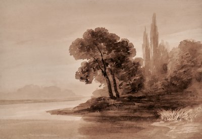 Ağaçlar ile manzara by Edward Pretty