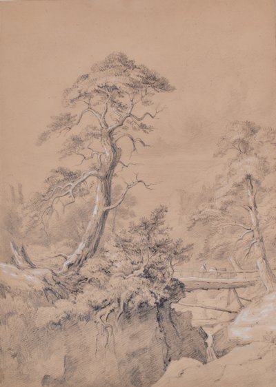 Ahşap köprü ile manzara by Edward Pretty