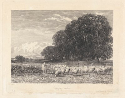 Değişen Mera by Edward Radclyffe