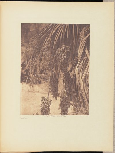 by Edward S. Curtis