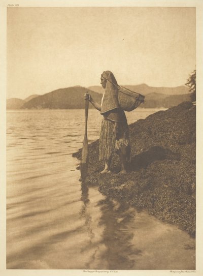 Yosun Toplayıcı by Edward S. Curtis