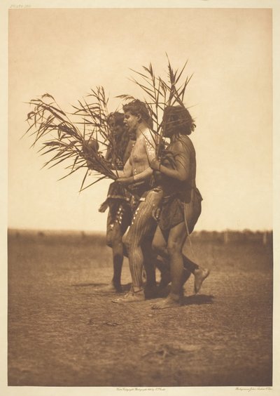 Arikara Tıp Töreni - Ördekler, 1908. by Edward Sheriff Curtis