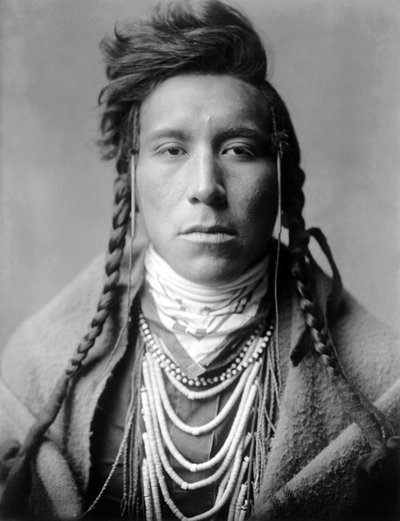 Yüksek Arazideki Kuş, Karga Kızılderilisi, Montana, ABD, yak. 1908, fotoğraf Edward S. Curtis by Edward Sheriff Curtis
