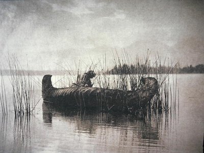 The Rush Gatherer, Montana (s/b fotoğraf) by Edward Sheriff Curtis
