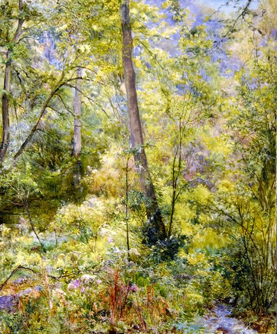 Benekli Güneş Işığı, Sheepscombe Woods by Edward Steel Harper