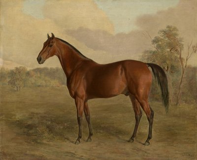 Kentucky Ağaçkakan, 1834 by Edward Troye