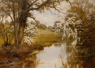 Alıçların Yayıldığı Yer Gaily Bloom (tuval üzerine yağlı boya) by Edward Wilkins Waite