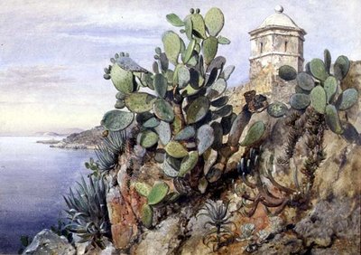 Kaktüs dikenli armut, Monako by Edward William Cooke