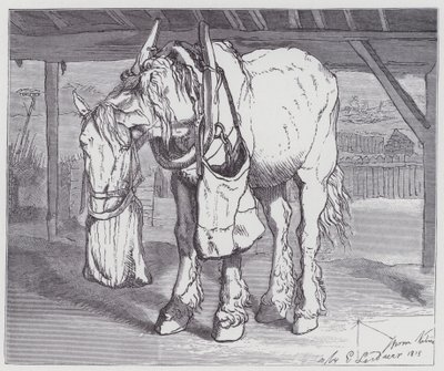 bir araba atı by Edwin (after) Landseer