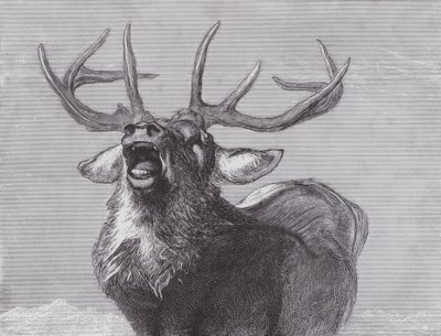 Meydan okuma by Edwin (after) Landseer
