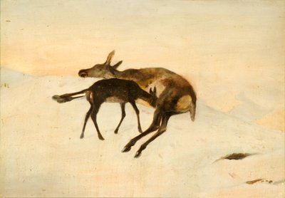 Rastgele Bir Atış (gemideki yağ) by Edwin (after) Landseer