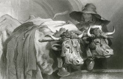 Tankta öküz, Cenevre (gravür) by Edwin (after) Landseer