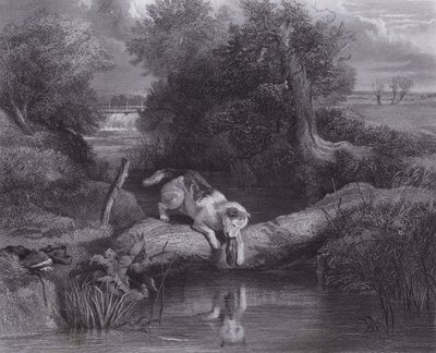 Köpek ve Gölge (gravür) by Edwin (after) Landseer