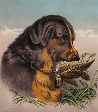  by Edwin (after) Landseer