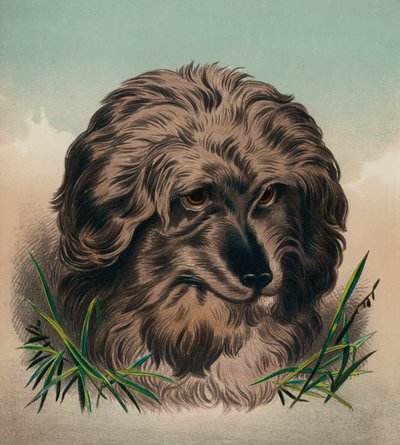  by Edwin (after) Landseer
