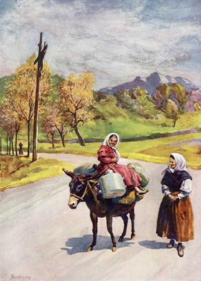 Korsika: Yol kenarı çaprazı (renkli taş) by Edwin Arthur Norbury