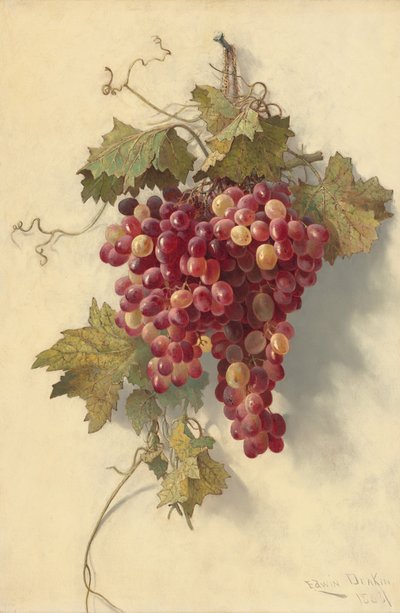 Beyaz Duvara Karşı Üzüm, 1883. by Edwin Deakin