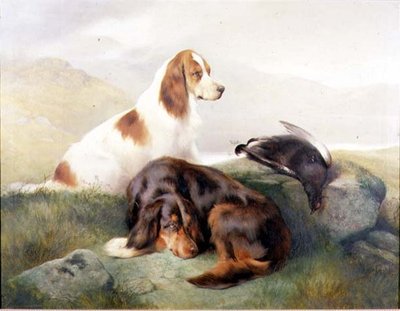 Günün Çantasına Göre by Edwin Douglas