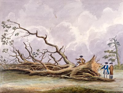 15 Ekim fırtınasında hasar gören ağaçlar, Roehampton, Londra, 1780 by Edwin Edwards