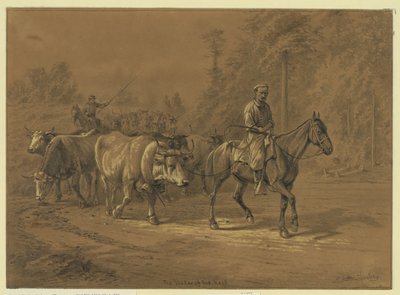 Sürünün lideri Özet/orta: 1 çizim. by Edwin Forbes