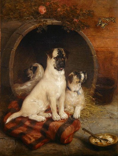 Yaşa ve öğren by Edwin Frederick Holt