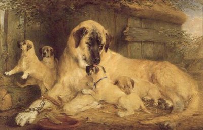 Doğanın Tek Dokunuşu Tüm Dünyayı Kin Kılıyor by Edwin Frederick Holt