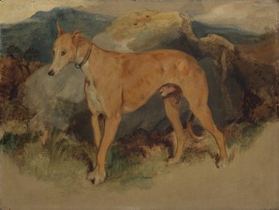 Bir Geyik Tazısı, 1826. by Edwin Landseer