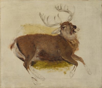 Ölen Geyik, ca. 1830. by Edwin Landseer