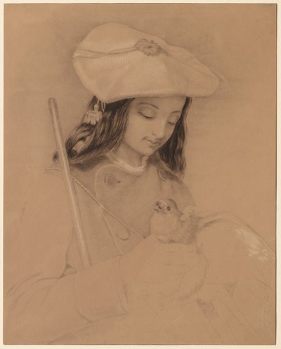 Highland Lassie. by Edwin Landseer