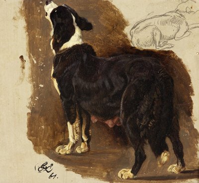 Collie Bitch (kart üzerinde yağ ve kurşun kalem) by Edwin Landseer