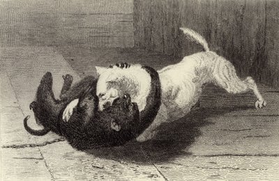 Örnek X, maymunla kavga eden köpek by Edwin Landseer
