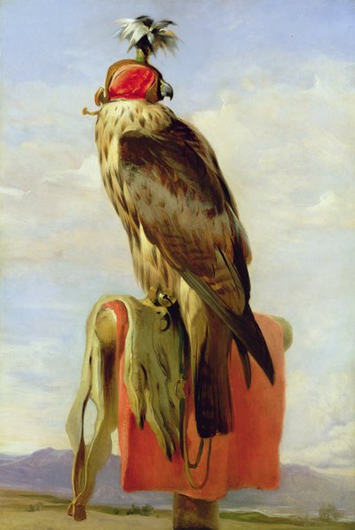 Kapşonlu Şahin by Edwin Landseer