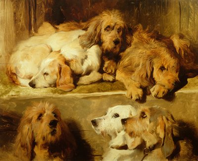 ಕೆನಲ್ ಟರ್ಕಿಯಲ್ಲಿ ಹೌಂಡ್ಸ್ by Edwin Landseer