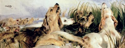 su samuru köpekleri by Edwin Landseer