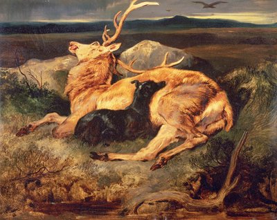 geyik by Edwin Landseer