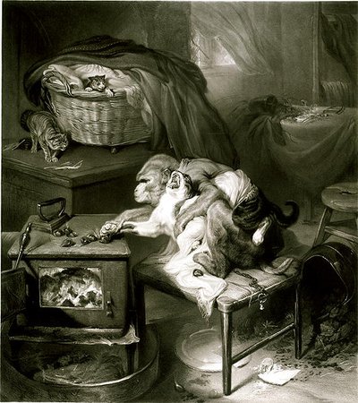 Kedinin Pençesi (gravür) by Edwin Landseer