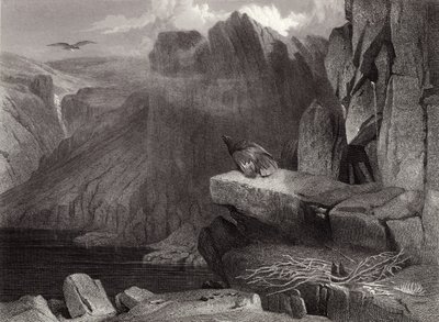 Kartal yuvası by Edwin Landseer