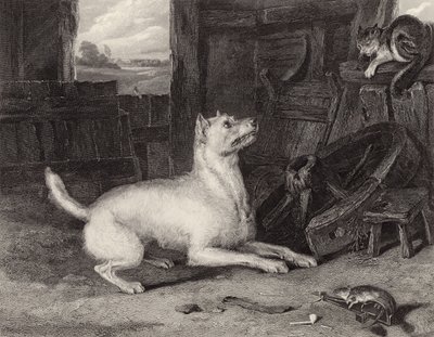 ಒಳನುಗ್ಗುವ ಟರ್ಕಿ by Edwin Landseer
