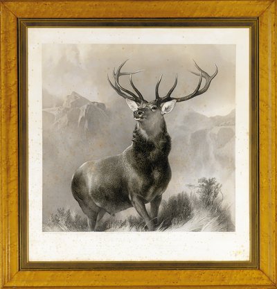 Glen