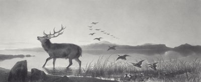 kurtarma by Edwin Landseer