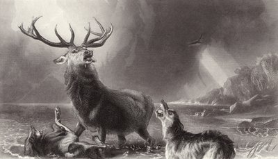 Bay Geyik by Edwin Landseer