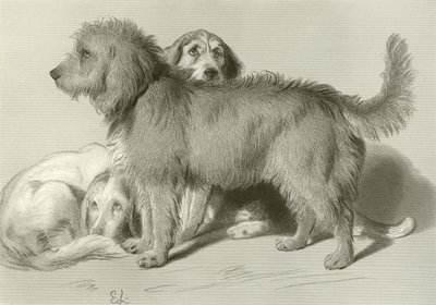 üç köpek by Edwin Landseer