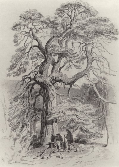 Yaşlı Köknar Ağacının Altında by Edwin Landseer