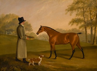 Damatla Bir Manzarada Bir At, David, Bennet, c.1805 (tuval üzerine yağlı boya) by Edwin W. Cooper