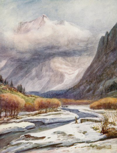  by Effie Jardine